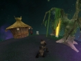 Creature Conflict : The Clan Wars