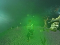 Creature Conflict : The Clan Wars