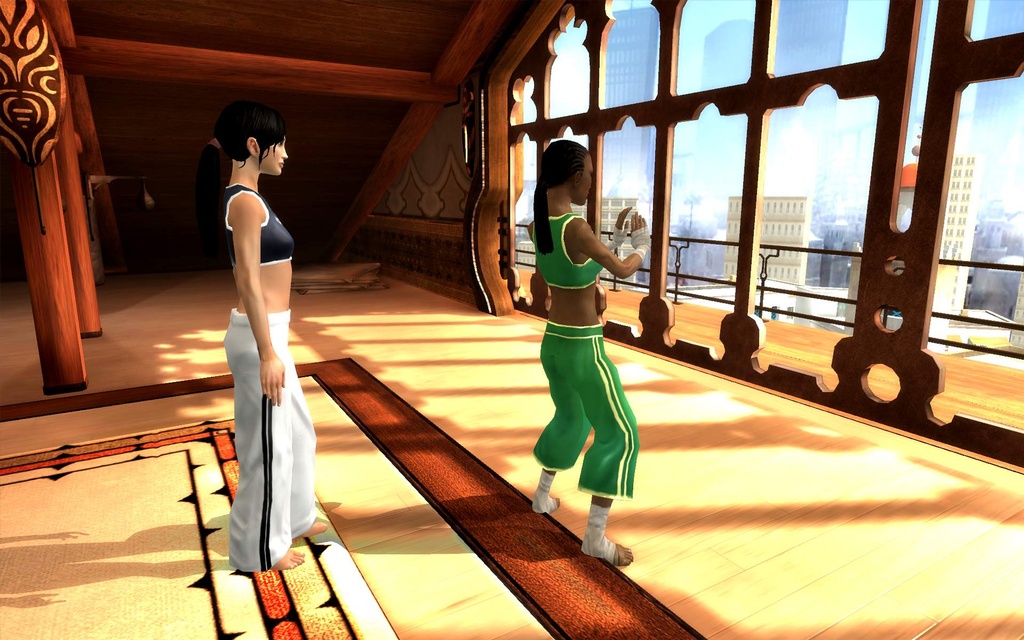 Dreamfall se découvre