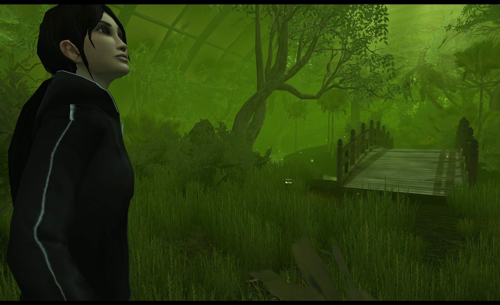 Dreamfall se découvre