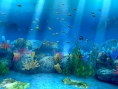 La ''suite'' d'Ecco The Dolphin sur Kickstarter !