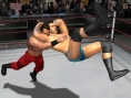 Du catch sur GameCube
