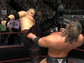 Du catch sur GameCube