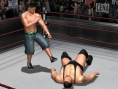 Du catch sur GameCube