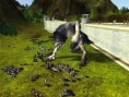 Des images pour Black and White 2
