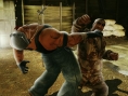 Baston en images avec Def Jam II
