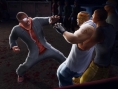 Def Jam Fight For NY en images
