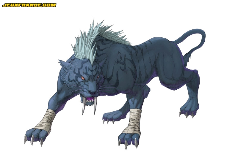 Fire Emblem : Plus d'images