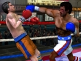 Rocky Legends en images