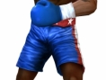 Rocky Legends en images