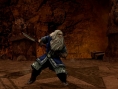 The Third Age en images
