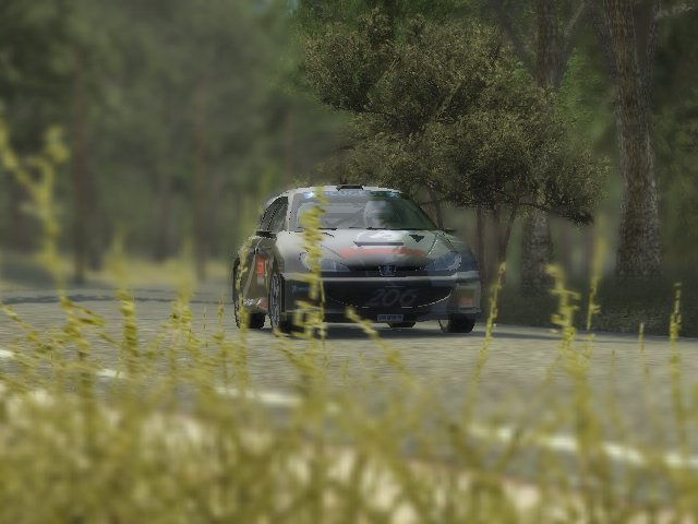Colin McRae Rally 2005 : images
