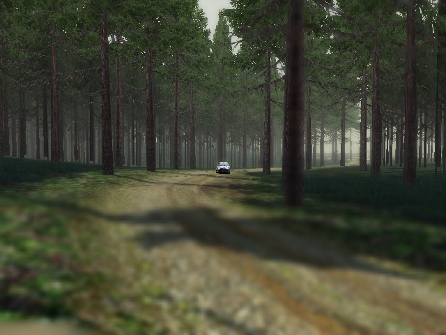Colin McRae Rally 2005 : images