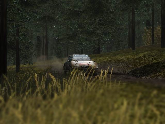 Colin McRae Rally 2005