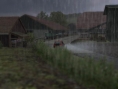Colin McRae 2005 : images Xbox