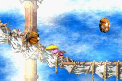 Donkey Kong Country 2 en images