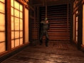 Chaos Theory en images