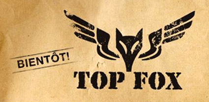 Prends-toi pour Fox McCloud