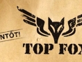 Prends-toi pour Fox McCloud