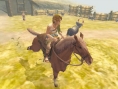 The Legend of Zelda en images