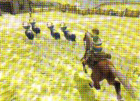 The Legend of Zelda en images