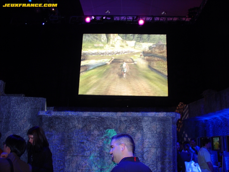 Stand Zelda sur GameCube !