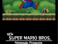 New Super Mario Bros en images