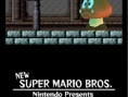 New Super Mario Bros en images