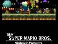 New Super Mario Bros en images