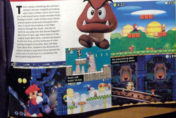 New Super Mario Bros. : 80 niveaux