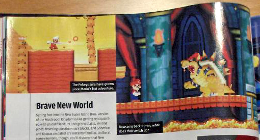 New Super Mario Bros. : 80 niveaux