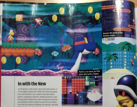 New Super Mario Bros. : 80 niveaux