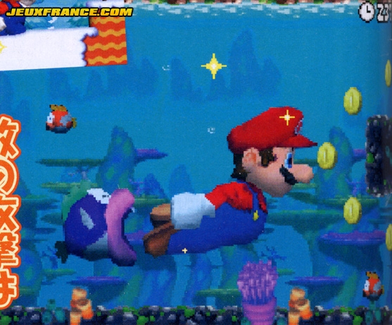 New Super Mario Bros. : 80 niveaux