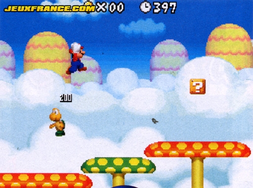 New Super Mario Bros. : 80 niveaux