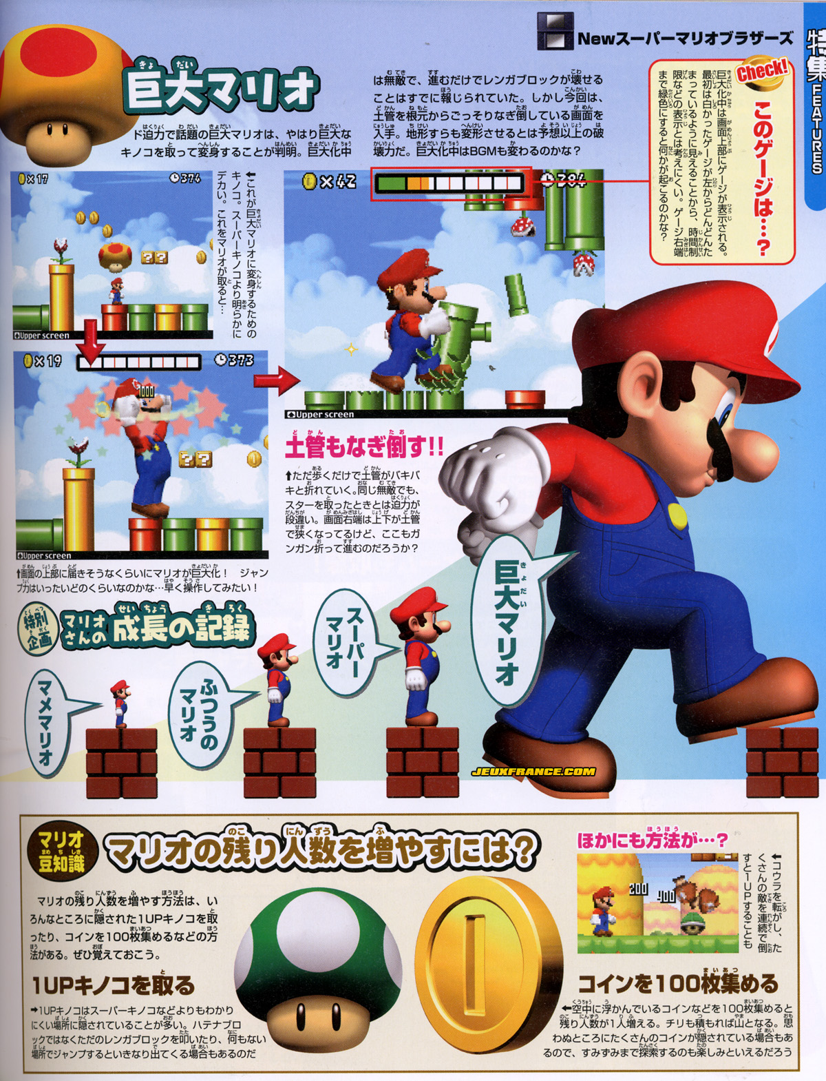 New Super Mario Bros. en images