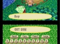 Images : Animal Crossing DS