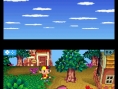 Une image pour Animal Crossing DS