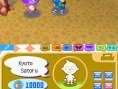 Animal Crossing DS à plusieurs