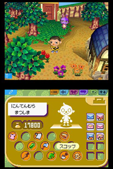 Animal Crossing DS à plusieurs