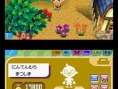 Animal Crossing DS change de nom