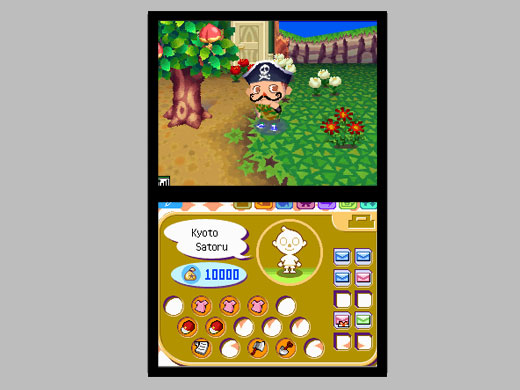 Animal Crossing DS en images