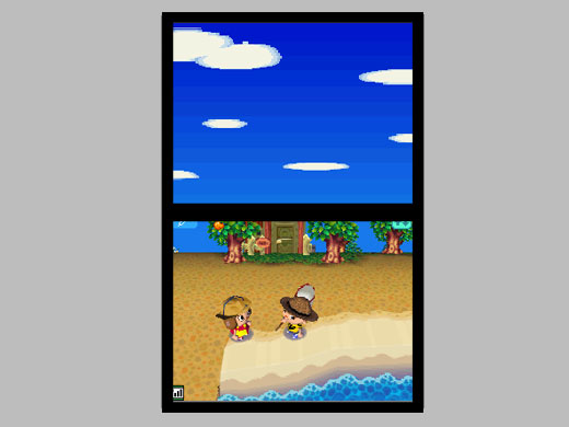 Animal Crossing DS en images