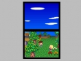 Animal Crossing DS en images