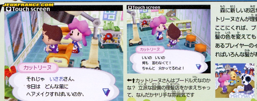 Animal Crossing DS en images