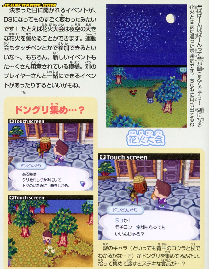Animal Crossing DS en images