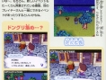 Animal Crossing DS en images