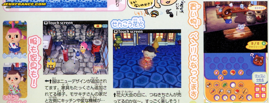 Animal Crossing DS en images