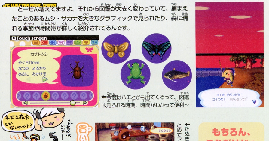 Animal Crossing DS en images