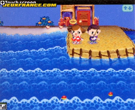 Animal Crossing DS en images