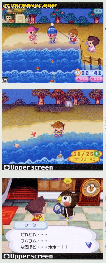 Animal Crossing DS en images